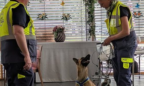 ludwig-steil-hof-newsbeitrag-vierbeinige-spuernase-im-einsatz-hund-draussen-im-einsatz-hund-mit-betreuer